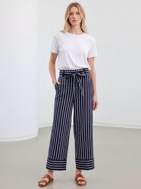 Banana Republic Blake Wide Leg Pants Blue White Striped Belted Women’s Size 6